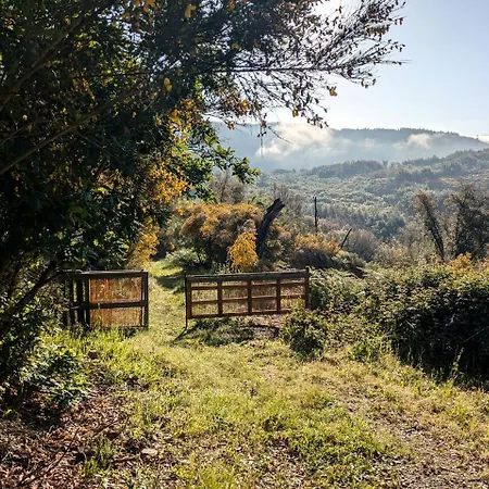 Secluded Bell Tent Surrounded By Nature For A Peaceful Romantic Escape In Coimbra District, Portugal Campo de lujo Sao Joao de Lourosa